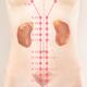 TCM Kidney meridian acupuncture points... (thumbnail)