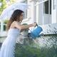 Woman with a French lace parasol watering lavender flowers in countrys... (thumbnail)