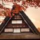 Japanese rural Gassho house with persimmons drying on the windows in c... (thumbnail)