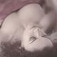 Sensual portrait of a beautiful woman with delicate features lying in... (thumbnail)