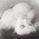 Beautiful woman face with delicate features lying with closed eyes in... (thumbnail)