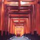 Senbon Torii gates leading to the outer shrine of Fushimi Inari Taisha... (thumbnail)