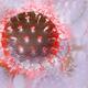Closeup illustration of Flu virus H1N1 H5N1 influenza A virus particle... (thumbnail)