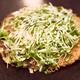 Okonomiyaki with radish sprouts traditional Japanese cuisine in Kyoto... (thumbnail)