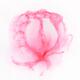 Watercolor painting of a gentle pink rose on white background... (thumbnail)