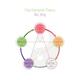 Five Elements Theory chart Wuxing Wu Xing in Taoism and TCM conceptual... (thumbnail)
