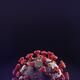 Coronavirus COVID-19 virus particle on black background scientific col... (thumbnail)