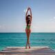 Sexy sun-tanned woman back in a fashion swimsuit standing on a pier ov... (thumbnail)