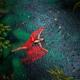 Woman in swimsuit and red dress lying on blue water in the rain Beauti... (thumbnail)