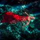 Woman in red flowy dress in clear turquoise water of a cenote Fine art... (thumbnail)
