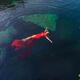 Woman in beautiful red dress lying on clear blue water Aerial fine art... (thumbnail)