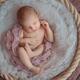 Newborn baby girl sleeping curled-up in a basket... (thumbnail)
