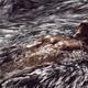 Muscular man half-naked body submerged in rushing river water or storm... (thumbnail)