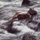 Woman bathing naked in water of a wild river or stormy sea shore with... (thumbnail)