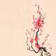 Japanese sumi-e ink painting of an iconic plum blossom branch with red... (thumbnail)