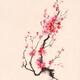 Fine art Sumi-e painting of Japanese plum tree blossom or sakura branc... (thumbnail)