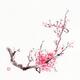Bushy sakura branch with pink flowers Chinese Zen brush painting... (thumbnail)