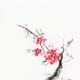 Cherry blossom abstract Japanese Zen painting of Sakura branch with re... (thumbnail)