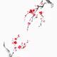 Two Japanese plum blossom branches reaching towards each other Fine ar... (thumbnail)