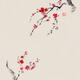 Two blossoming Sakura tree branches reaching towards each other Fine a... (thumbnail)