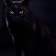 Cute black cat with bright green eyes and a fierce expression on his f... (thumbnail)