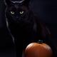 Cute black cat with green eyes and fierce expression with a pumpkin Ha... (thumbnail)