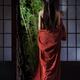 Asian woman in undone red kimono with long hair standing by a shoji do... (thumbnail)