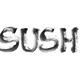 Word Sushi handwritten in black ink brush Japanese calligraphy style r... (thumbnail)