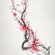 Red plum blossom Sakura branch with pink flowers Zen style sumi-e pain... (thumbnail)