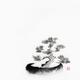 Bonsai black pine tree Zen Japanese ink painting... (thumbnail)
