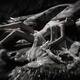 Beautiful nude woman lying on river rocks her naked barely covered bod... (thumbnail)