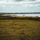 Countryside farm land landscape scenery in Ireland... (thumbnail)