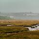 Sheep feeding on grass in Sligo Ireland misty landscape scenery... (thumbnail)