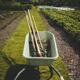 Wheelbarrow with gardening tools on a garden path... (thumbnail)