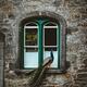 Peacock in an arched window of an old historic Irish stone house... (thumbnail)