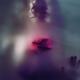 Dream-like ghostly sensual woman face with red rose behind a blurry gl... (thumbnail)
