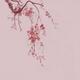Zen sumi-e artwork of a cherry blossom branch with pink flowers on lil... (thumbnail)