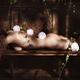 Beautiful nude woman lying on a bench with white camellia flowers on h... (thumbnail)