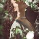 Beautiful woman profile of her face with closed eyes in cherry tree bl... (thumbnail)