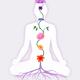 Meditating Woman with Chakra Flowers over her body growing from root i... (thumbnail)