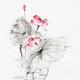 Sumi-e Zen artwork of pink lotus flowers with leaves on white... (thumbnail)