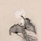 Fine art oriental Zen painting of a blooming white lotus flower and a... (thumbnail)