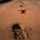 Footprints from running shoes along the sandy beach... (thumbnail)