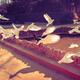 White doves flying over a pond at Maria Luisa Park in Seville Spain... (thumbnail)