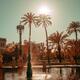 Maria Luisa Park palm trees by the fountain in Seville Spain... (thumbnail)