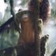 Beautiful nude girl, cute mythical forest nymph, playfully teasing hid... (thumbnail)