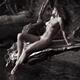 Beautiful nude woman sunbathing reclining on driftwood tree by the lak... (thumbnail)