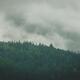 Dramatic foggy mountain forest nature scenery in Northern Ireland... (thumbnail)