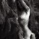 Beautiful nude woman standing leaning against mossy tree in dark shado... (thumbnail)