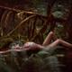 Beautiful nude woman lying on a fallen tree in a mossy green rain fore... (thumbnail)